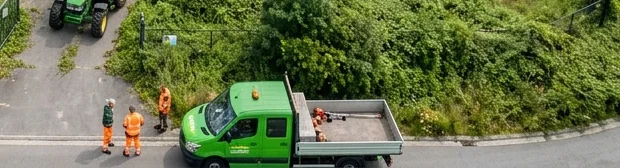 Pick-ups van De Ronny geladen met groenafval